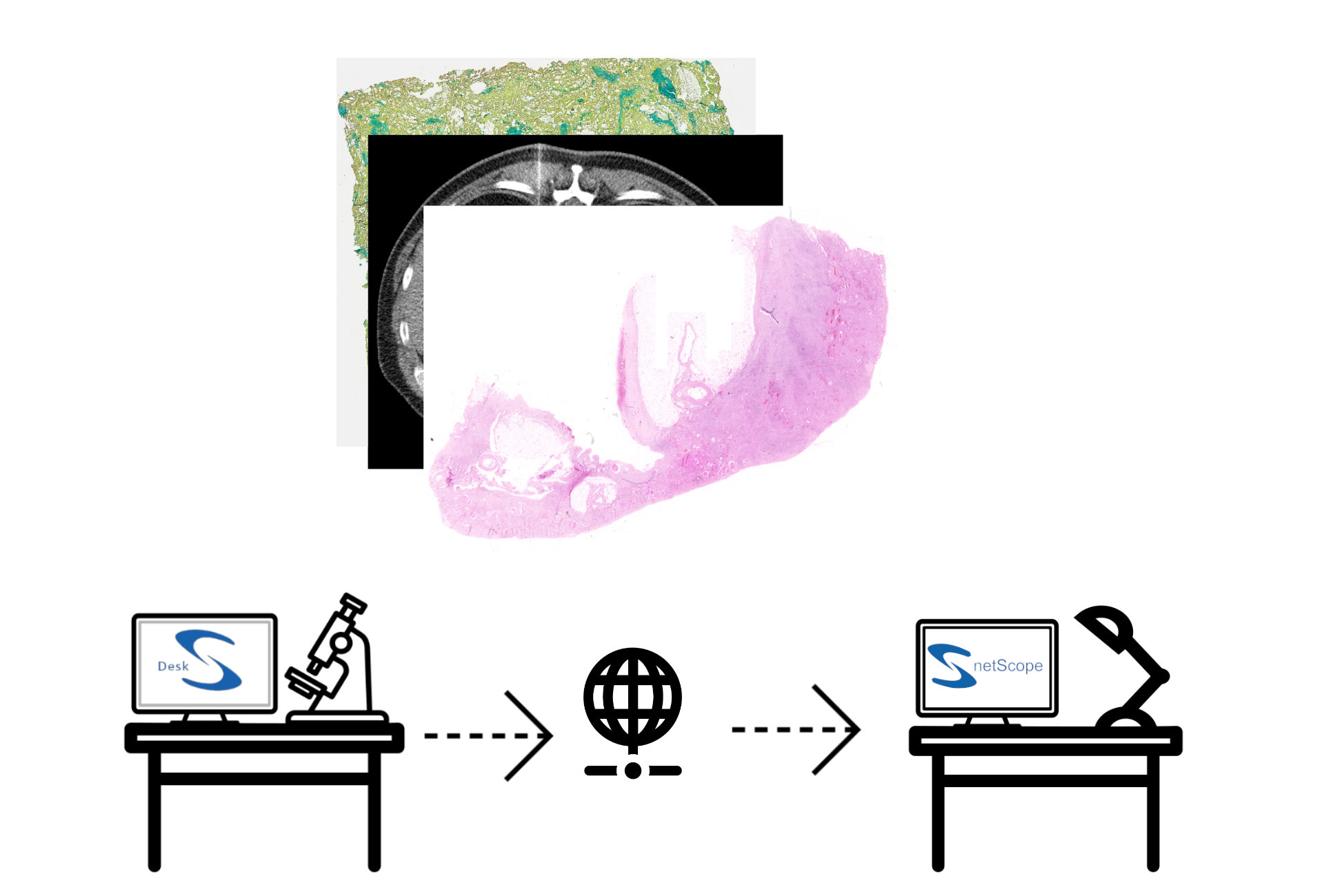 netScope Desk als Ausbaupfad vom Einzelplatz ins Netzwerk